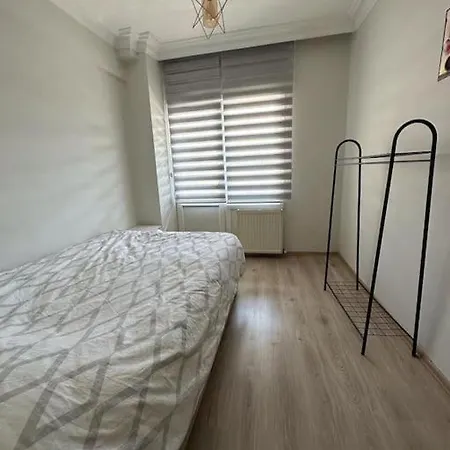 Well Furnished 2+1 Flat, Kadikoy Lejlighed *
